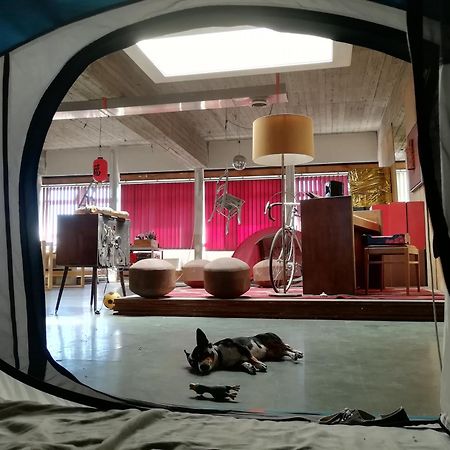 Ghostel 1St - Aventure Alternative - Guest House - Arts-Factory-Experience - For Artists, Makers And Open Minds - Attention, We Are Not A Hotel And Are Not Adapted For Everybody - Read Host Warnings Before Reservation - Www,Providence,Be Asbl Шарлероа Екстериор снимка