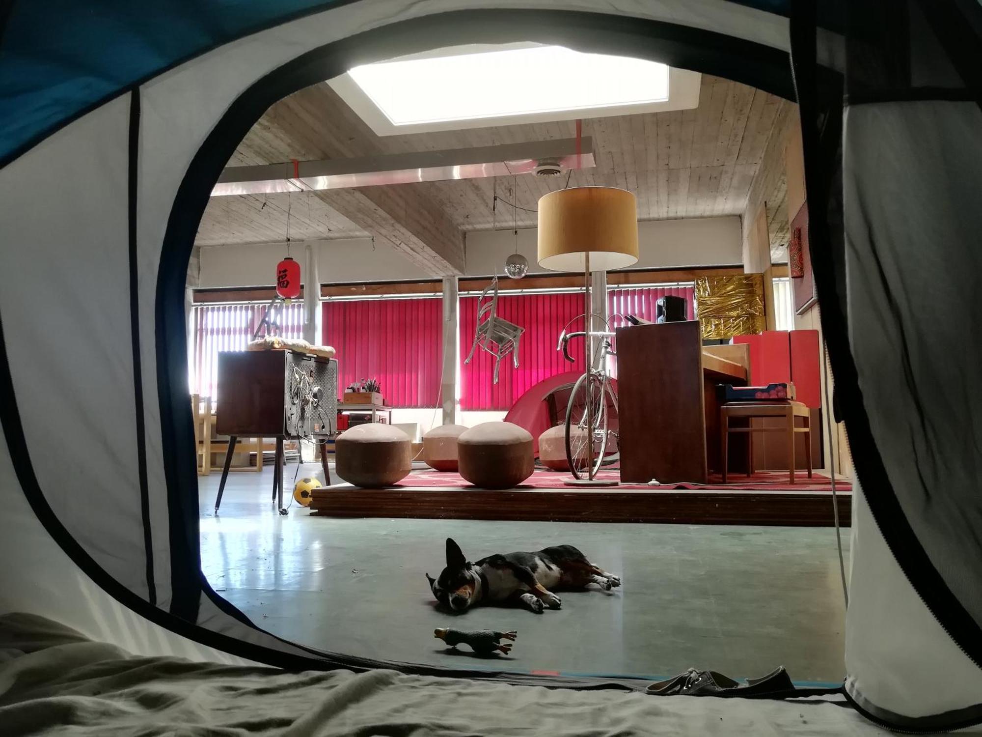 Ghostel 1St - Aventure Alternative - Guest House - Arts-Factory-Experience - For Artists, Makers And Open Minds - Attention, We Are Not A Hotel And Are Not Adapted For Everybody - Read Host Warnings Before Reservation - Www,Providence,Be Asbl Шарлероа Екстериор снимка